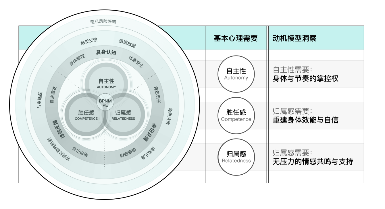 SDT三项基本心理需要模型